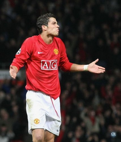 引进安德鲁 引进安德鲁