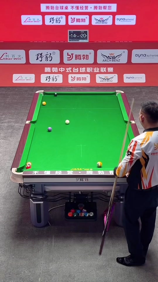 李金羽等 李金羽等